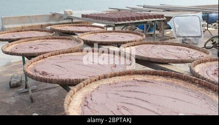 Garnelenpaste wird unter der Sonne im Tai O von Hong Kong getrocknet Stockfoto