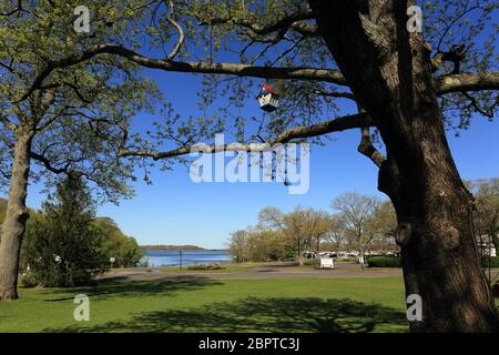 Dorfgrün Stony Brook Long Island New York Stockfoto