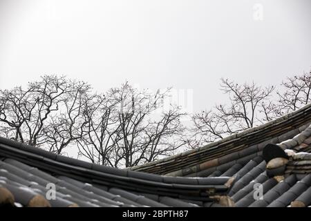 Koreanische traditionelle Hausdächer und Winterbäume. Stockfoto