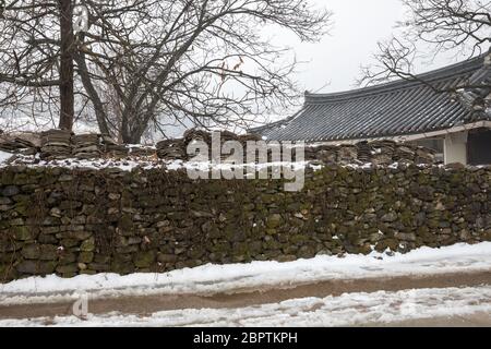 Winter in Korea, schneereiche traditionelle Dorf und Steinmauer, Oeam Folk Village. Stockfoto