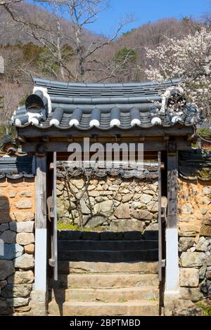 Traditionelle koreanische Haus vor Tor Landschaft. Stockfoto