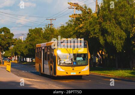 Santiago, Chile - Februar 2017: Ein Transantiago - Red Movilidad Bus in Puente Alto Stockfoto