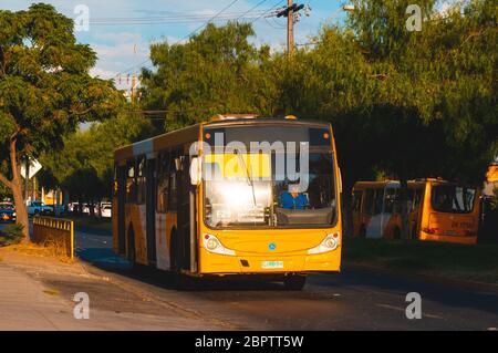 Santiago, Chile - Februar 2017: Ein Transantiago - Red Movilidad Bus in Puente Alto Stockfoto