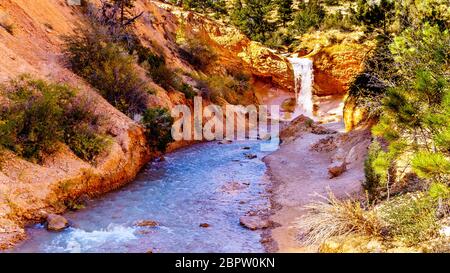 Tropic Graben fällt über die Zinnoberfarbenen Felsen des Mossy Cave Wanderweges im Bryce Canyon National Park, Utah, USA Stockfoto