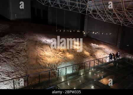 Kunming, China - 17. Mai 2020: Dinosaurierfossilien im Museum des Lufeng Dinosauriertals in Yunnan Stockfoto