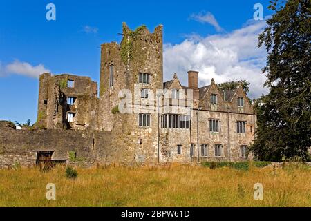 Ormonde Castle, Carrick-on-Suir, County Tipperary, Irland Stockfoto