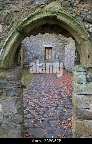 Alte Kirche St. Patricks Brunnen, Marlfield, County Tipperary, Irland Stockfoto