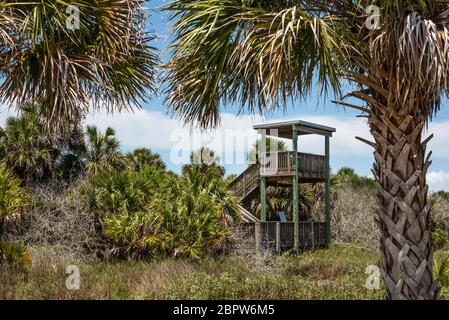 Hölzerner Aussichtsturm am Light House Point Park in Ponce Inlet, Florida. (USA) Stockfoto