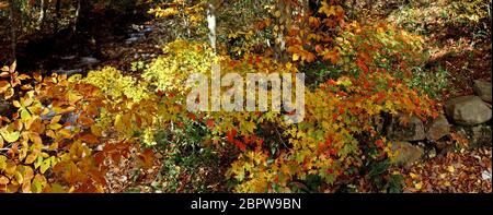 Panoramabild der Herbstszene in Nyuto Onsen, Akita, Japan Stockfoto