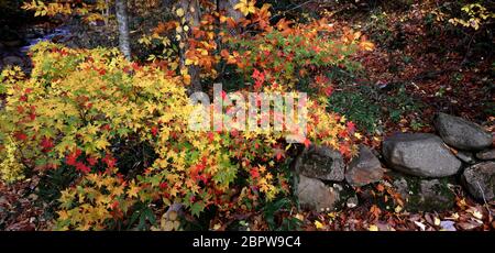 Panoramabild der Herbstszene in Nyuto Onsen, Akita, Japan Stockfoto