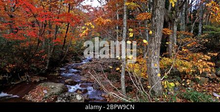 Panoramabild der Herbstszene in Nyuto Onsen, Akita, Japan Stockfoto