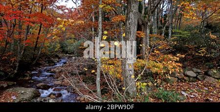 Panoramabild der Herbstszene in Nyuto Onsen, Akita, Japan Stockfoto