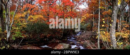 Panoramabild der Herbstszene in Nyuto Onsen, Akita, Japan Stockfoto