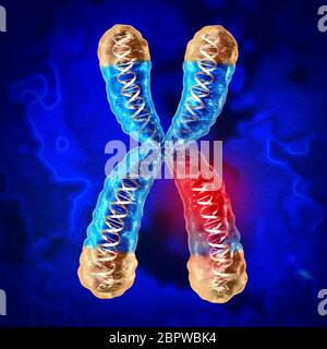 Genetische Krankheit und Chromosomenkrankheit oder DNA-Schädigung als Wissenschaft und Biologie Konzept mit beschädigten Genen als 3D-Rendering.[ Stockfoto