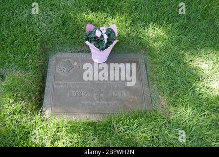 Los Angeles, Kalifornien, USA 19. Mai 2020 EIN allgemeiner Blick auf die Atmosphäre von Natalie Wood's Grab im Pierce Brothers Westwood Village Memorial Park am 19. Mai 2020 in Los Angeles, Kalifornien, USA. Foto von Barry King/Alamy Stock Photo Stockfoto