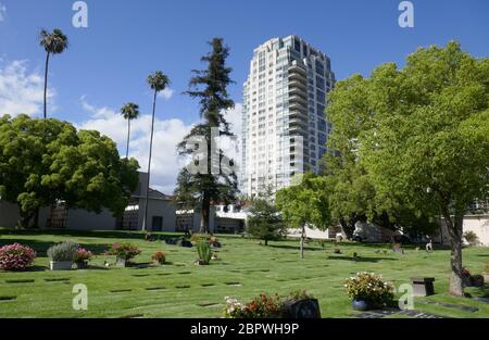 Los Angeles, Kalifornien, USA 19. Mai 2020 EIN allgemeiner Blick auf die Atmosphäre des Pierce Brothers Westwood Village Memorial Park am 19. Mai 2020 in Los Angeles, Kalifornien, USA. Foto von Barry King/Alamy Stock Photo Stockfoto