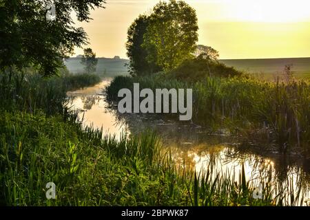 Grantham Canal, Vale of Belvoir Stockfoto