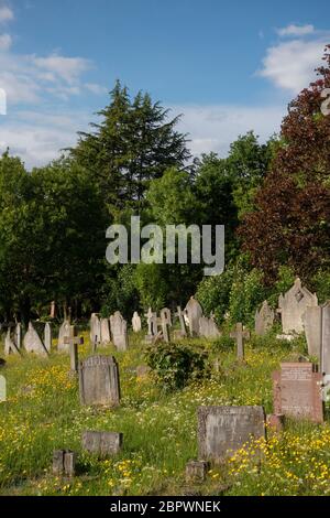 West Norwood, Großbritannien. Mai 2020. West Norwood Cemetery in West Norwood in South London. Foto von Sam Mellish Stockfoto