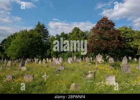 West Norwood, Großbritannien. Mai 2020. West Norwood Cemetery in West Norwood in South London. Foto von Sam Mellish Stockfoto