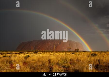 Selten Uluru im Regen mit einem doppelten Regenbogen zu sehen. Stockfoto