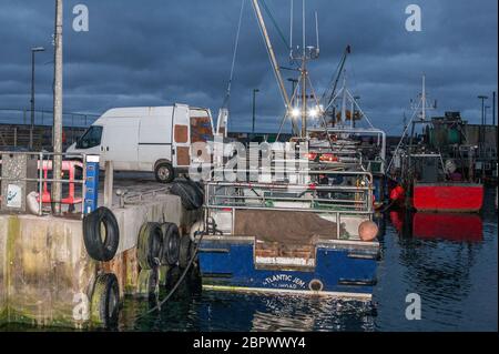 Ballycotton, Cork, Irland. Mai 2020. Die Besatzung des Fischerboots Atlantic Jem landet ihren Fang von Hake auf einem Van auf dem Pier in Ballycotton, Co. Cork, Irland. - Credit; David Creedon / Alamy Live News Stockfoto