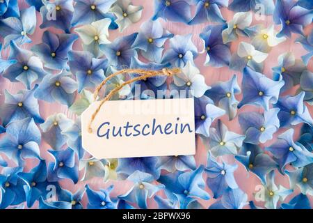 Etikett mit deutschem Text Gutschein Gutschein bedeutet. Flach Hortensien Blüten. Stockfoto