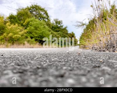 Suchen einen Baum gesäumten Straße in die Ferne Stockfoto