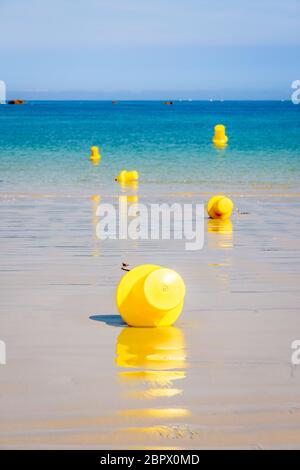 Fünf große gelbe Bojen liegen auf dem nassen Sand und schwimmen auf dem Meer, die an einem sonnigen Tag einen Abschusskanal für kleine Boote am Strand abgrenzen. Stockfoto