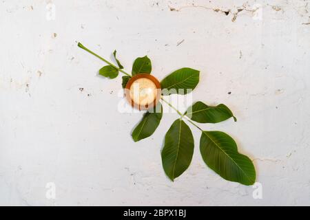 Bimetall-thermometer auf eine weiße Wand. Ein Blatt Nussbaum. Stockfoto