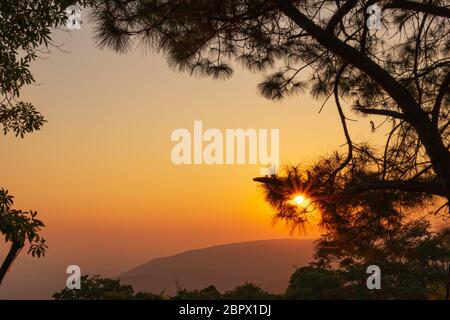 Schöner Sonnenuntergang durch Baumblätter mit orangefarbenem Himmel und Baum- und Bergsilhouetten. Stockfoto