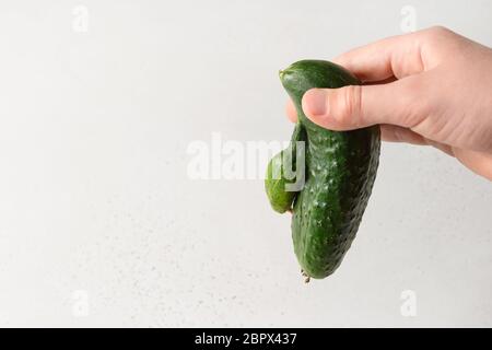 Hässliche Gurke in Kinderhand. Konzept Bio-Gemüse. Konzept Bio-Gemüse. Nahaufnahme. Platz für Text. Stockfoto