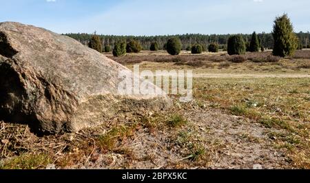 Felsen vor einer Heidelandschaft mit Wacholderbüschen, Relikt aus der Eiszeit in Europa Stockfoto