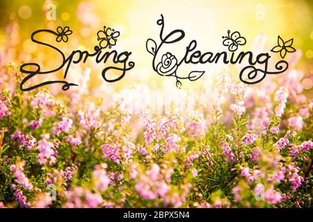 Englisch Kalligraphie Frühjahrsputz. Erica Blume Feld oder Wiese. Sonnige Frühling oder Sommer. Stockfoto