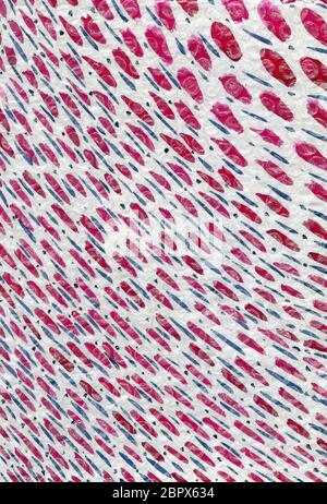 Zusammenfassung Hintergrund mit sich wiederholenden diagonale Streifen und Anschläge von rot, blau und rosa Blüten mit blauen Punkten auf einem weißen Hintergrund. Aquarell backgro Stockfoto