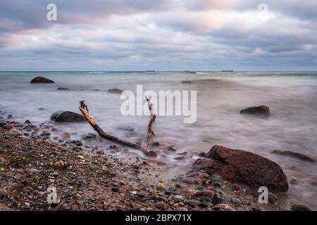 Drift Wood am Ufer der Ostsee. Stockfoto