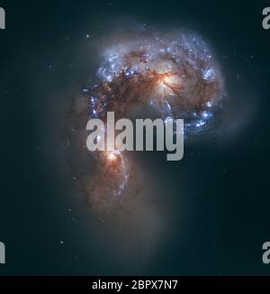 NGC 4038 und 4039, Antennen Galaxien im Sternbild Corvus. Kredit: Originalbild von ESA / Hubble, Verarbeitung & Färbung von monochromen PASST Dateien von Malcolm Park Stockfoto