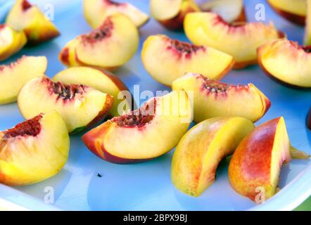 Frisches Obst bereit, für ihre Gesundheit, Eis, Cocktails, Aperitifs, Nachspeisen und Desserts vorzubereiten: Nektarine Stockfoto