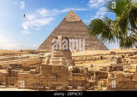 Ägyptischen Pyramiden: die Große Sphinx und die Pyramiden von khafre. Stockfoto