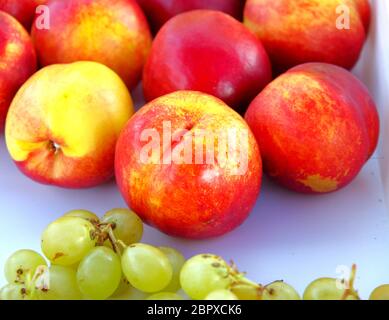 Frisches Obst bereit, für ihre Gesundheit, Eis, Cocktails, Aperitifs, Nachspeisen und Desserts vorzubereiten: Nektarine, Trauben Stockfoto