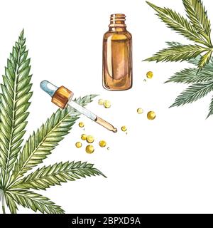 CBD-Öl Hanfprodukte. Aquarell-Illustration auf weißem Hintergrund. Satz von Zeichnung floralen Elementen, Aquarell botanische Illustration. Nahtloses Patter Stockfoto