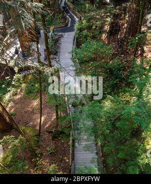 Hölzerner Steg-Pfad im Capilano Suspension Bridge Park, North Vancouver, Kanada Stockfoto