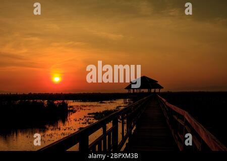 Hölzerne Brücke in Lotus See Sonnenuntergang pünktlich am Khao Sam Roi Yot National Park, Thailand Stockfoto