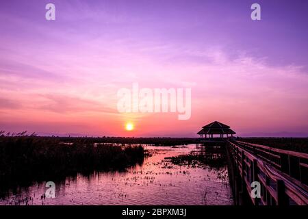 Hölzerne Brücke in Lotus See Sonnenuntergang pünktlich am Khao Sam Roi Yot National Park, Thailand Stockfoto