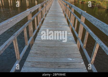 Hölzerne Brücke in Lotus See im Khao Samroiyod Nationalpark, Thailand Stockfoto