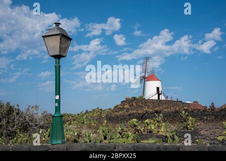 Winmühle auf Jardín de Cactus, Guatiza, Lanzarote, Kanarische Inseln Stockfoto