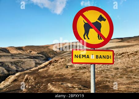 Isländisches Schild für Hunde ohne Leine verboten. Der Text Translatest to: Ohne Bindung Stockfoto