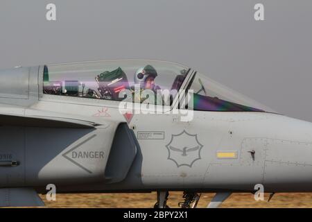 SAAF Saab JAS 39 Gripen Stockfoto