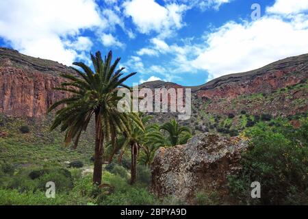 Bandama Krater ist ein erloschener Vulkan auf Gran Canaria Stockfoto