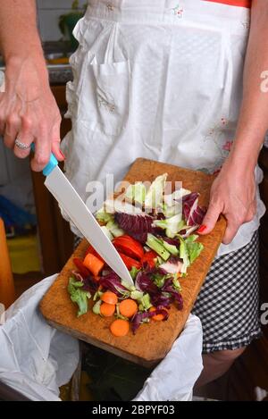 Detail einer weiblichen Hand Entsorgung der organischen Abfälle in einem geeigneten Behälter mit Küche im Hintergrund Stockfoto