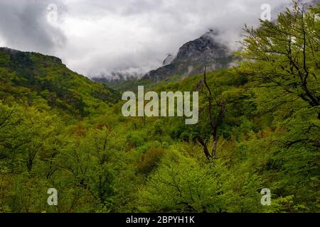 Regen, Wolken und Nebel auf den felsigen Gipfeln und Wald im Nationalpark Paklenica, Kroatien Stockfoto